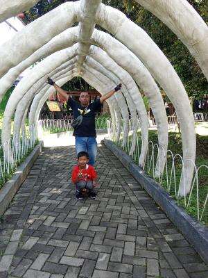 hay #contentcreatorpemula  #RCTIPlus 