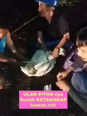 AKHIRNYA ULAR ITU KETANHKAP
#ularpoton
 #ularsanca
#Ular Tangga 