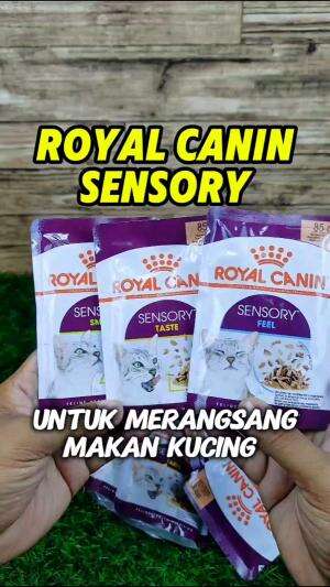 Produk terbaru ROYAL CANIN SENSORY FEEL, TASTE DAN SMELL untuk merangsang indera perasa agar makan kucingmu lebih lahap lagi. 

#royalcanın 