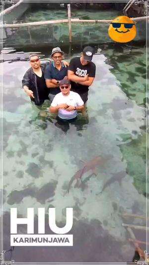 Karimunjawa Hiu 

 #karimun_jawa 
 #wisata
 #pesona indonesia
 #hiu
 #ikan
 #JawaTengah 
 #visitindonesia 
