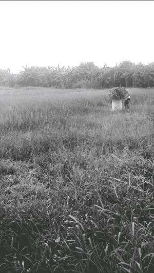  #RCTIPlus  #rctiofficial  #musicvideos  #video 
