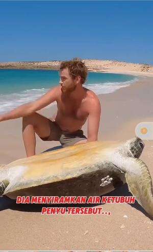 Menyelamatkan penyu yang terdampar..  #RCTIPlus  #short 