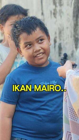 Tau ikan mairo guys? #lucu #funnyvideos #seru #videolucu #fyp 