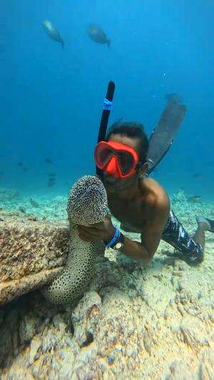 Pria ini mencium moray bintik
.
#laut
#moray
#viral