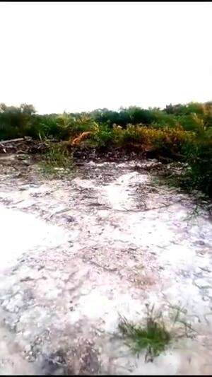 MEMBURU SSPI YG KABOOOOR