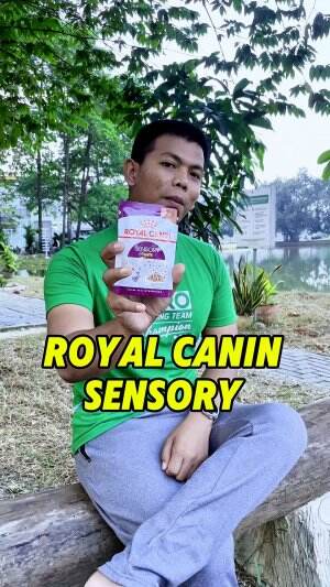 ROYAL CANIN SENSORY untuk memperkaya sensasi makan sikucing. 


#royalcanin #royalcaninsensory #makanankucing 
