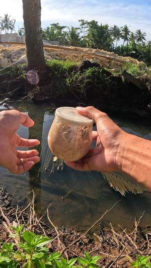 tutorial rahasia untuk menangkap udang  #RCTIPlus  #trending  #viral