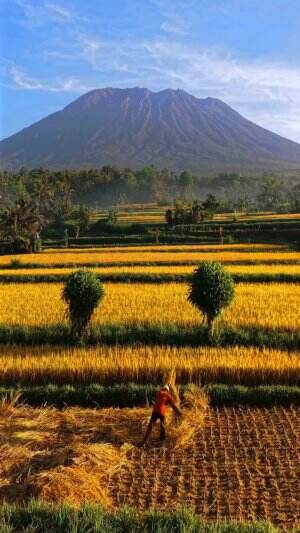 Gunung Agung , Karangasem, Bali