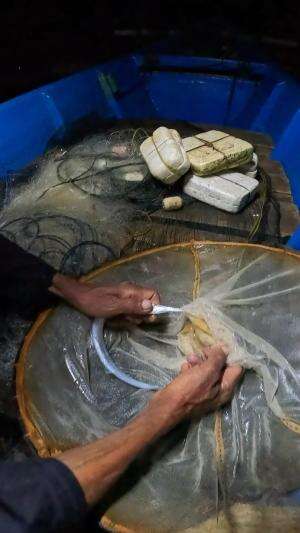 ikan masih terlalu kecil mending dirilis aja