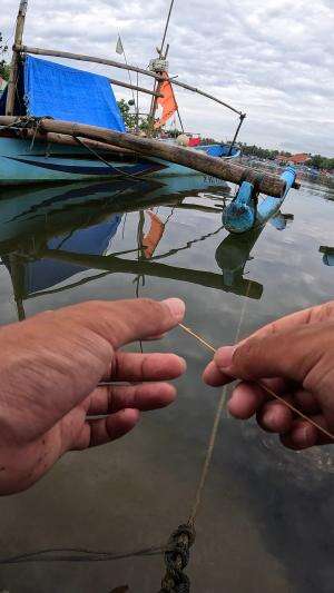 gampang banget #mancing #fishing #shrimp #udang #nelayan #laut #jaring #ikan #reelsviral #animals #skill #fyp #trending
