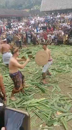 Perang Pandan di Tenganan Pegringsingan