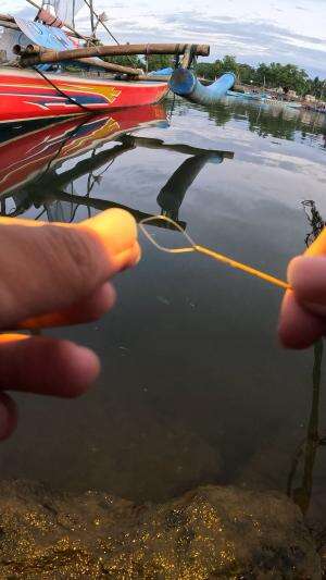 Practical Way to Catch Shrimp #fishing #shrimp #fish #sea #traditional #usareels #UnitedStates #reelsviral #skils #fyp #trending