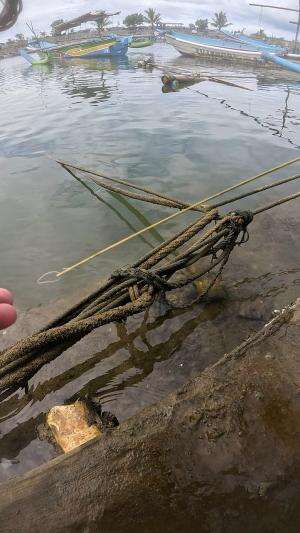 berhasil kabur🦐 #udang #nelayan #laut #jaring #ikan #fbpro #reels #reelsviral #duniaikan #skils #fyp #trending