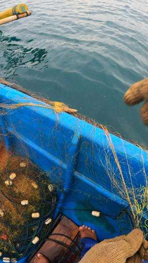 alhamdulillah kecil juga udang