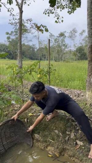 Cari ikan diparit kebun