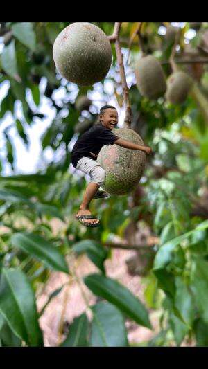 Foto kreatif ? selamat pagi sobatku ? #Photography 