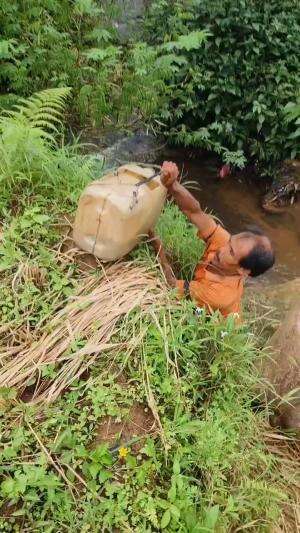 Pelepasan bibit ikan di sungai