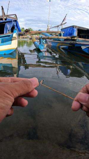 teknik yang diajarkan ayah ku padaku #fishing #shrimp #fish #sea #traditional #usareels #UnitedStates #reelsviral #skils #fyp #trending