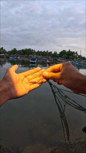 menangkap udang pagi hari  #trending  #RCTIPlus 