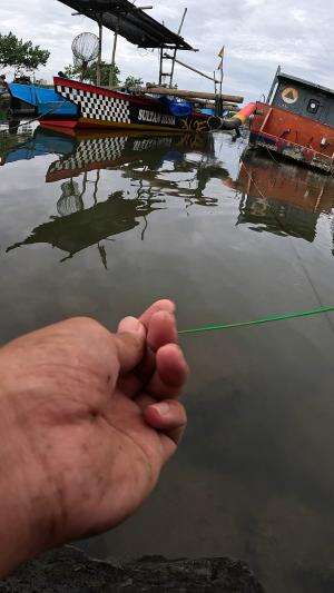 cara saya memancing udang  #rcti  #RCTIPlus  #trending 