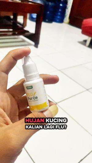 obat flu kucing #obatflukucing#fyp