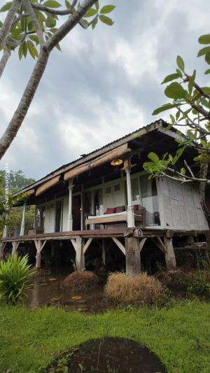 Ini Baru Healing… Penginapan Menyatu dengan Alam View Merapi