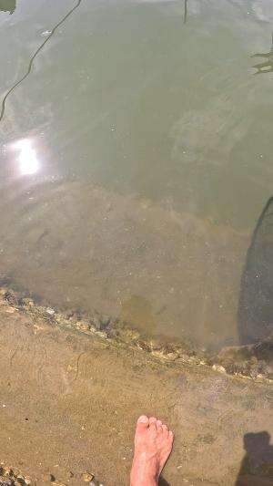 udang pinter tau ada jebakan😂 #usa #usareels #newyork #germany #fyp #australia #luksemburg #ingris #belanda #skils #shrimp #fisherman #selan