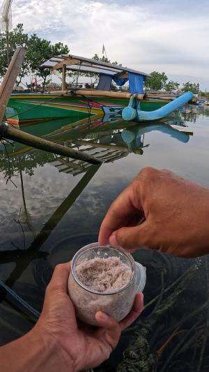 cara cepat nangkap udang #fishing #shrimp #fish #sea #traditional #usareels #UnitedStates #reelsviral #skils #fyp #trending