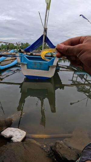 traditional technique #fishing #shrimp #fish #sea #traditional #usareels #UnitedStates #reelsviral #skils #fyp #trending