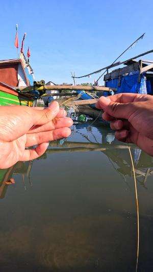 udang nya gede banget coyyy ???