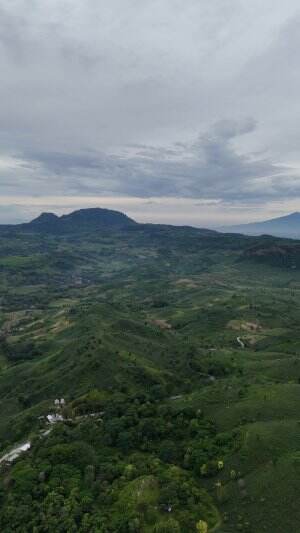 Keindahan alam Bumi Bojonegoro cakepp banget masya allah #drone #dji #djimini4pro #bojonegoro #bojonegoro_gram #bojonegoromatoh #jedamergawe