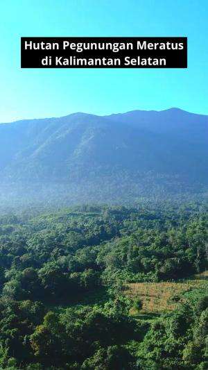 Video Drone : Suasana Pemandangan Hutan Pegunungan Meratus 2025  #drone  #droneview  #dronecamera  #dronevideo #NatureVibes  #mountain #pegu