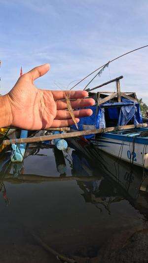 teknik khusus buat nangkap udang