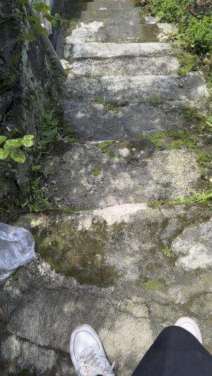 Di balik layar