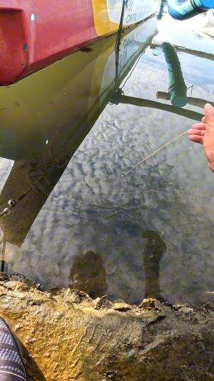 lah kok lepas #mancing #fishing #shrimp #udang #nelayan #laut #jaring #ikan #reelsviral #animals #skill #fyp #trending