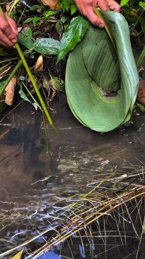 Mancing tanpa menggunakan pancing