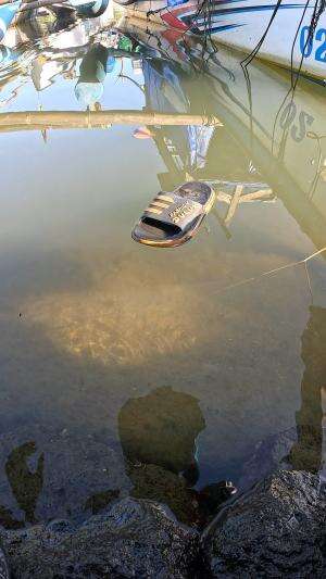 cara cepat menangkap udang #mancing #fishing #shrimp #udang #nelayan #laut #jaring #ikan #reelsviral #animals #skill #fyp #trending