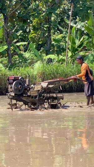 Cara membajak sawah dengan traktor tangan sangat mudah  #RCTIPlus #HOTrctiplus #rcti  #RCTIoke  #HomeOfTalentRCTIPlus  #rctipluschallenge  #