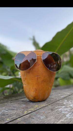 Buah pepaya #Photography #kreatif 