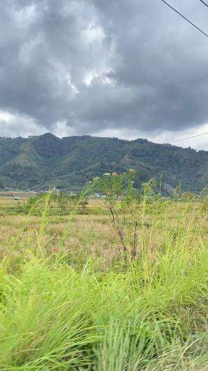 Ada yang tau ini dimana?  #pegunungan  #holiday  #2025 