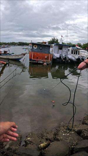 The newest shrimp catching technique #fishing #usa #usareels #UnitedStates #unitedkingdom #denmark #canada