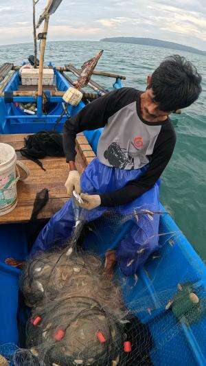 tangkap ribuan udang #nelayan #jaring #ikan #udang #reels #reelsviral #skills #fyp