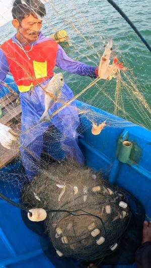 isinya sedikit #usa #usareels #newyork #germany #fyp #australia #luksemburg #ingris #belanda #skils #shrimp #fisherman #selandiabaru #irland