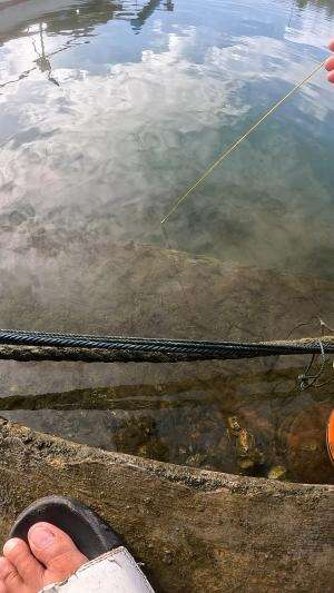 memancing udang #mancing #fishing #shrimp #udang #nelayan #laut #jaring #ikan #reelsviral #animals #skill #fyp #trending