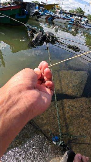 pancingan jaman dulu #mancing #fishing #shrimp #udang #nelayan #laut #jaring #ikan #reelsviral #animals #skill #fyp #trending