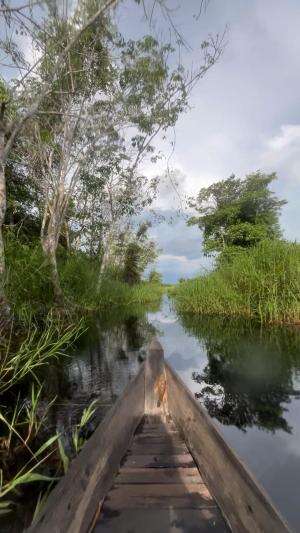 Pergi mancing