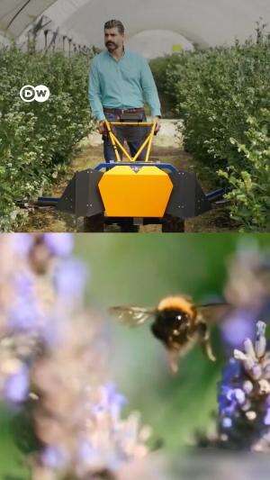 Lebah Buatan di Bidang Pertanian