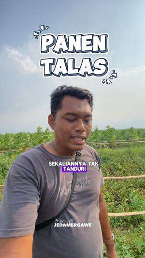 Panen talas lurr di kebun belakang rumah hehehe  #panen #petani #petanimuda #petaniindonesia #desa #pedesaan #RCTIPlus  #HOTrctiplus 