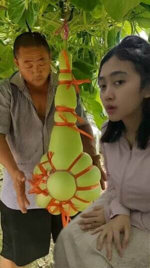 Buah apa itu ?