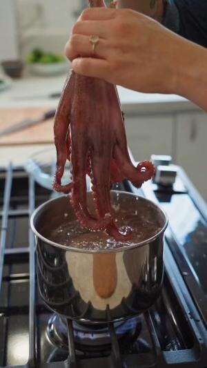 🤯 Gurita tuh hewan paling “multi-tasking” di laut!
Punya 3 hati, dan 9 otak — bahkan tangannya bisa mikir sendiri!
Bayangin kalau kamu punya